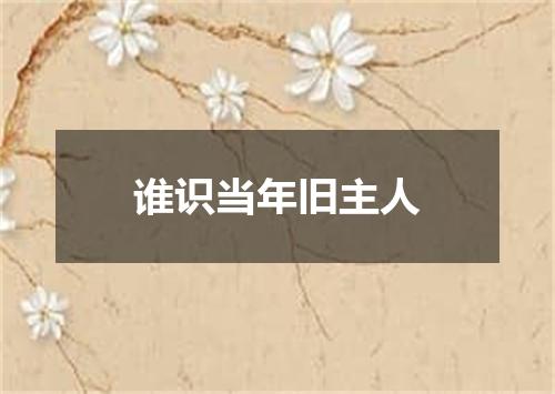 谁识当年旧主人