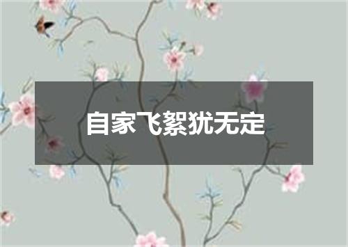 自家飞絮犹无定