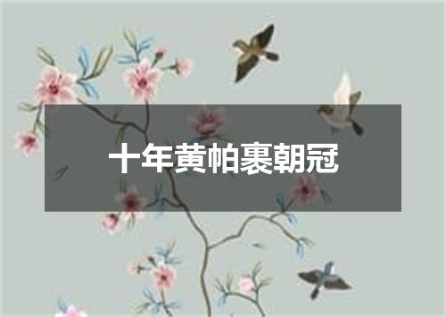 十年黄帕裹朝冠