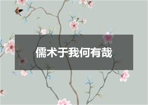 儒术于我何有哉