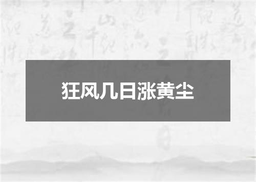 狂风几日涨黄尘