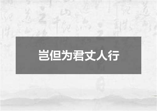 岂但为君丈人行