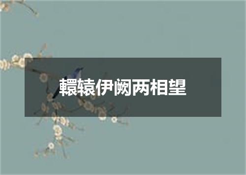 轘辕伊阙两相望