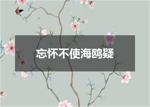 忘怀不使海鸥疑