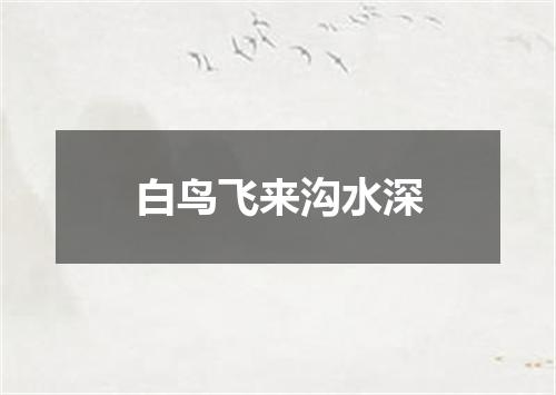 白鸟飞来沟水深