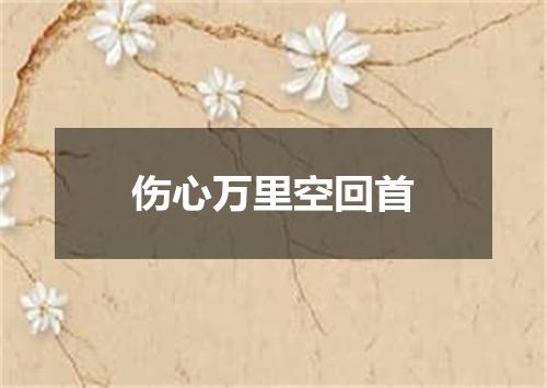伤心万里空回首