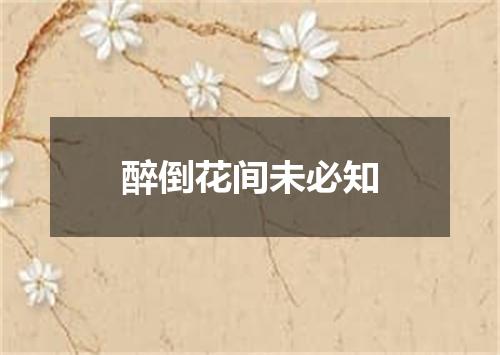 醉倒花间未必知