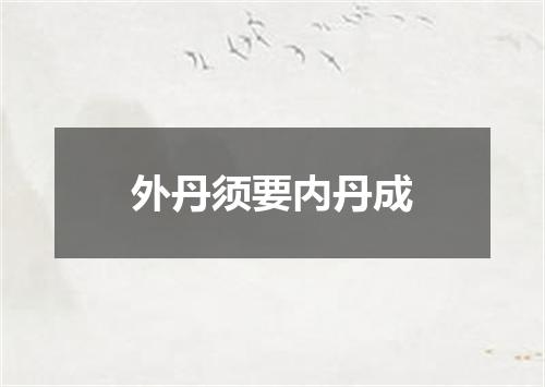 外丹须要内丹成