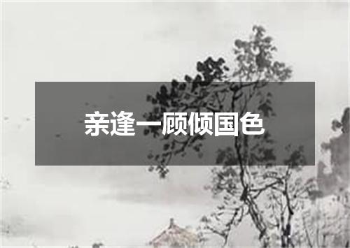 亲逢一顾倾国色