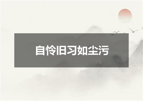 自怜旧习如尘污