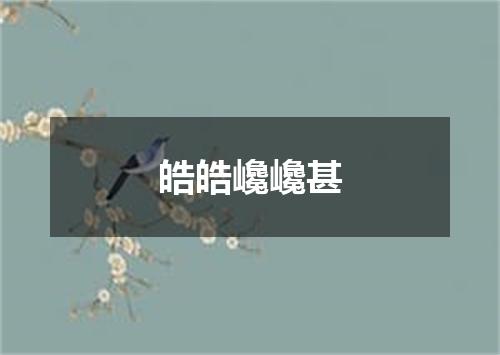 皓皓巉巉甚