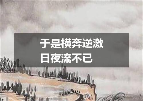 于是横奔逆激日夜流不已