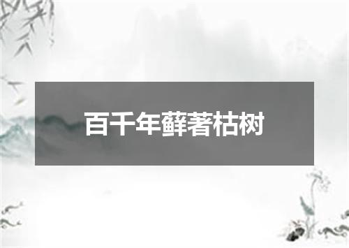 百千年藓著枯树