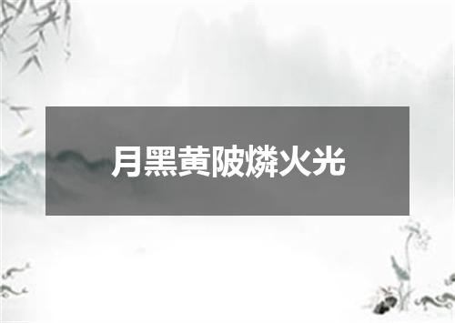 月黑黄陂燐火光