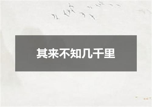 其来不知几千里