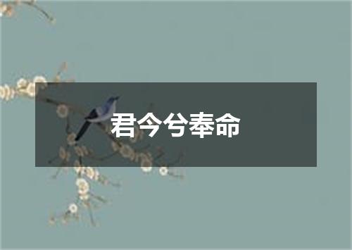 君今兮奉命