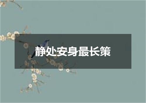 静处安身最长策