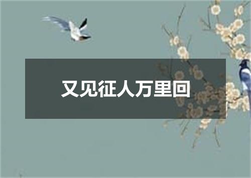 又见征人万里回
