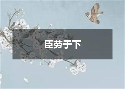 臣劳于下