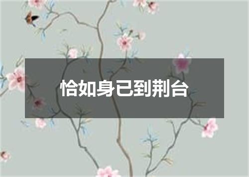 恰如身已到荆台