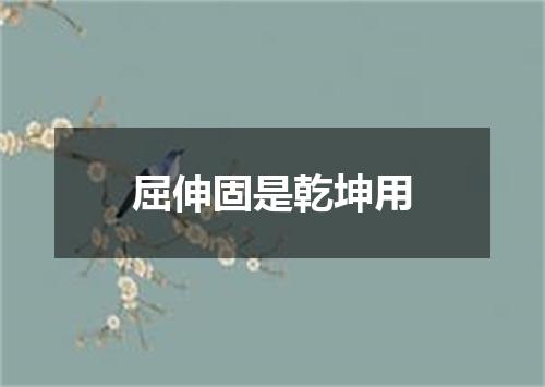 屈伸固是乾坤用