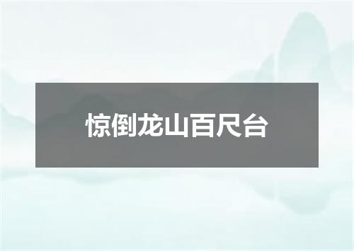 惊倒龙山百尺台