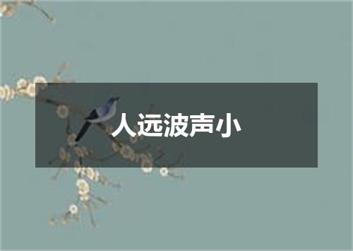 人远波声小