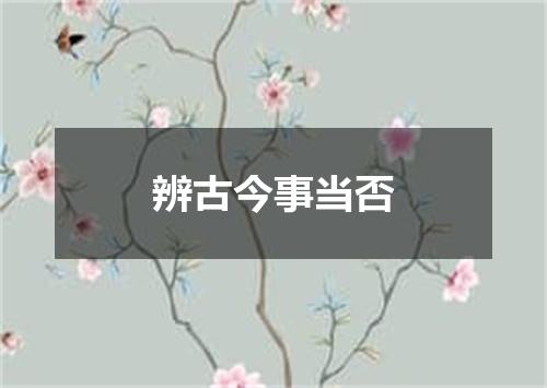 辨古今事当否