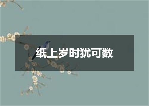纸上岁时犹可数