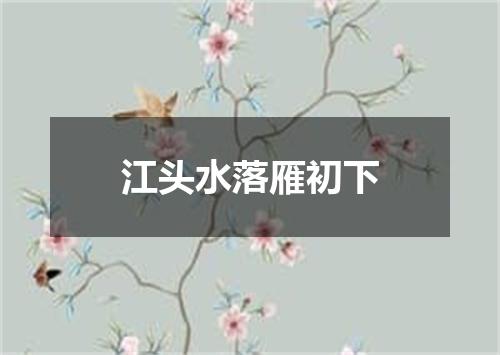 江头水落雁初下