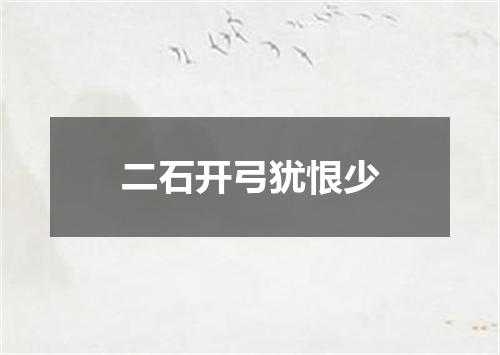 二石开弓犹恨少