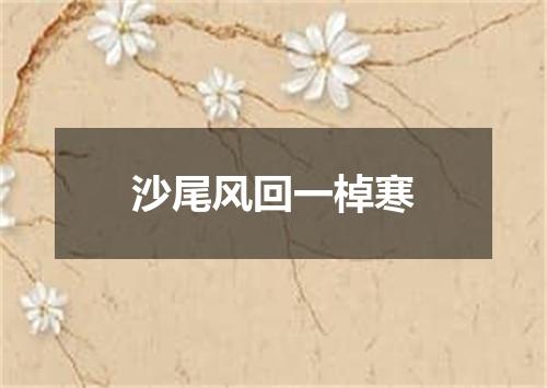 沙尾风回一棹寒