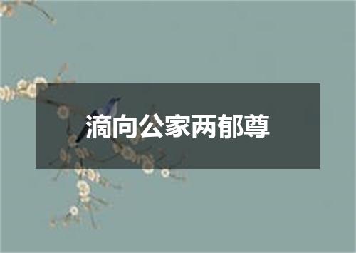 滴向公家两郁尊