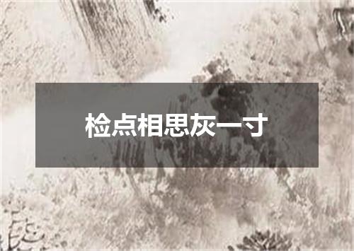 检点相思灰一寸