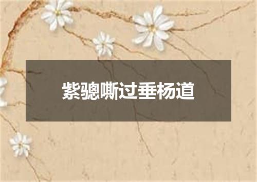 紫骢嘶过垂杨道