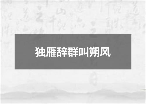 独雁辞群叫朔风