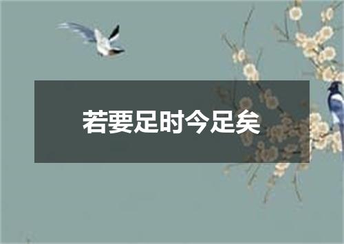 若要足时今足矣