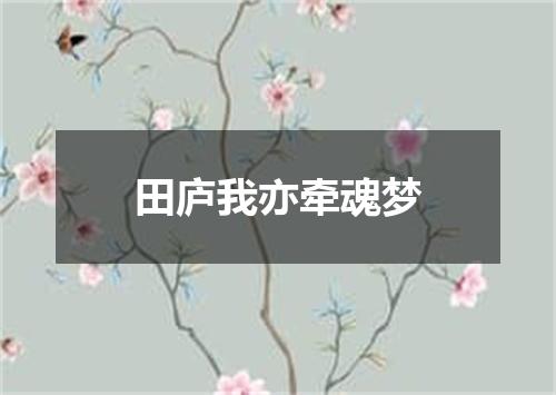 田庐我亦牵魂梦