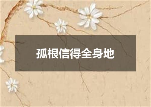 孤根信得全身地