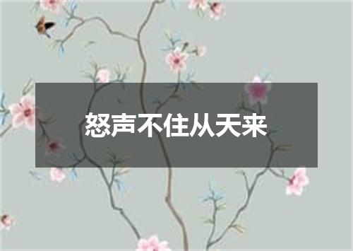 怒声不住从天来