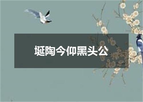 埏陶今仰黑头公