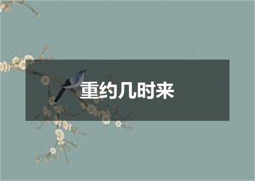 重约几时来