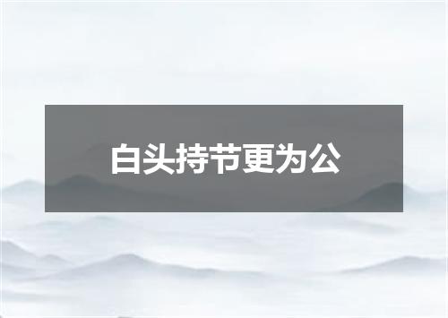 白头持节更为公