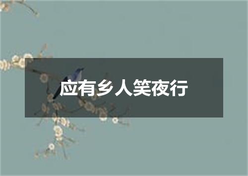 应有乡人笑夜行