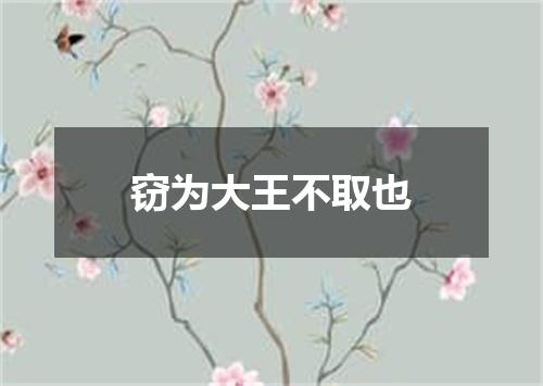 窃为大王不取也