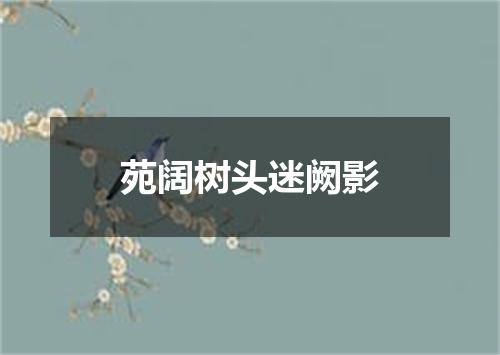 苑阔树头迷阙影