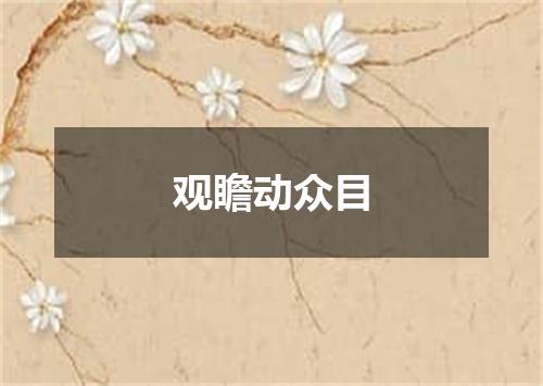 观瞻动众目