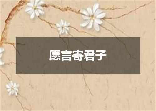 愿言寄君子