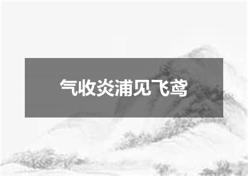 气收炎浦见飞鸢