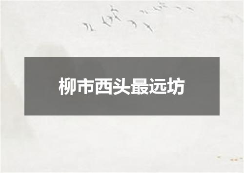 柳市西头最远坊